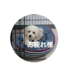 むぎのかわいいスタンプ（個別スタンプ：10）
