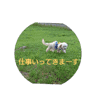 むぎのかわいいスタンプ（個別スタンプ：11）