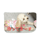 むぎのかわいいスタンプ（個別スタンプ：16）