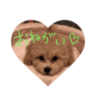 めいちゃの日常（個別スタンプ：1）
