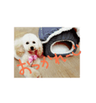 めいちゃの日常（個別スタンプ：3）