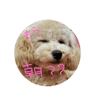 めいちゃの日常（個別スタンプ：4）