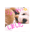 めいちゃの日常（個別スタンプ：5）