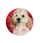 めいちゃの日常（個別スタンプ：7）