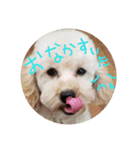 めいちゃの日常（個別スタンプ：8）