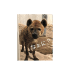 動物たち 動物園 気持ち（個別スタンプ：1）