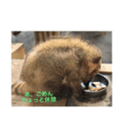 動物たち 動物園 気持ち（個別スタンプ：7）