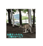 動物たち 動物園 気持ち（個別スタンプ：12）