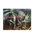 動物たち 動物園 気持ち（個別スタンプ：14）
