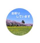 気遣う言葉（個別スタンプ：16）