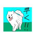 白い犬達（個別スタンプ：9）