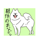 白い犬達（個別スタンプ：16）