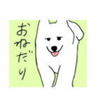 白い犬達（個別スタンプ：18）