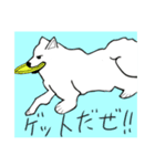 白い犬達（個別スタンプ：21）