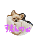はるまりん2（個別スタンプ：9）