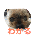 はるまりん2（個別スタンプ：24）