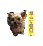 はるまりん2（個別スタンプ：32）