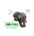 黒プードルのにこちゃん（個別スタンプ：8）
