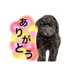 黒プードルのにこちゃん（個別スタンプ：14）
