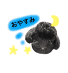 黒プードルのにこちゃん（個別スタンプ：22）