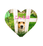 トム＆ラム（個別スタンプ：1）