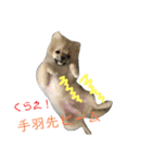 ティーカップポメラニアンのそら（個別スタンプ：20）
