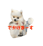 colosuke（個別スタンプ：10）