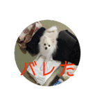 colosuke（個別スタンプ：11）