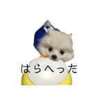 colosuke（個別スタンプ：12）