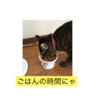 みかん。あいさつ（個別スタンプ：3）