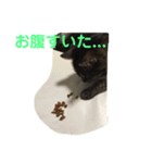 みかん。あいさつ（個別スタンプ：5）