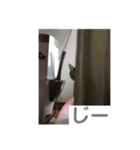 みかん。あいさつ（個別スタンプ：6）