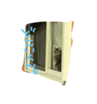 ネコ 日常（個別スタンプ：6）