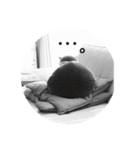にゃんこのロイ（個別スタンプ：7）