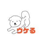 びんごマン（個別スタンプ：7）