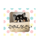 あーちゃん..（個別スタンプ：4）