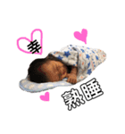 こうせいのスタンプ1（個別スタンプ：33）