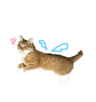 トロといっしょ（個別スタンプ：4）