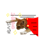 トロといっしょ（個別スタンプ：6）