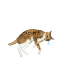 トロといっしょ（個別スタンプ：7）