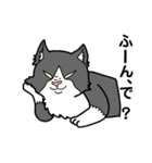 裏表白黒猫（個別スタンプ：3）