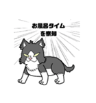 裏表白黒猫（個別スタンプ：4）