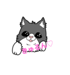 裏表白黒猫（個別スタンプ：5）