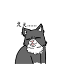 裏表白黒猫（個別スタンプ：7）