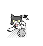 裏表白黒猫（個別スタンプ：8）