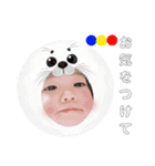 2018①Shiraishi（個別スタンプ：13）