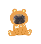 フレンチブルドッグ LOCO（個別スタンプ：1）