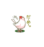 いちもん君（個別スタンプ：29）