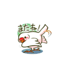 いちもん君（個別スタンプ：40）