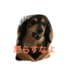プルートスタンプ（個別スタンプ：3）